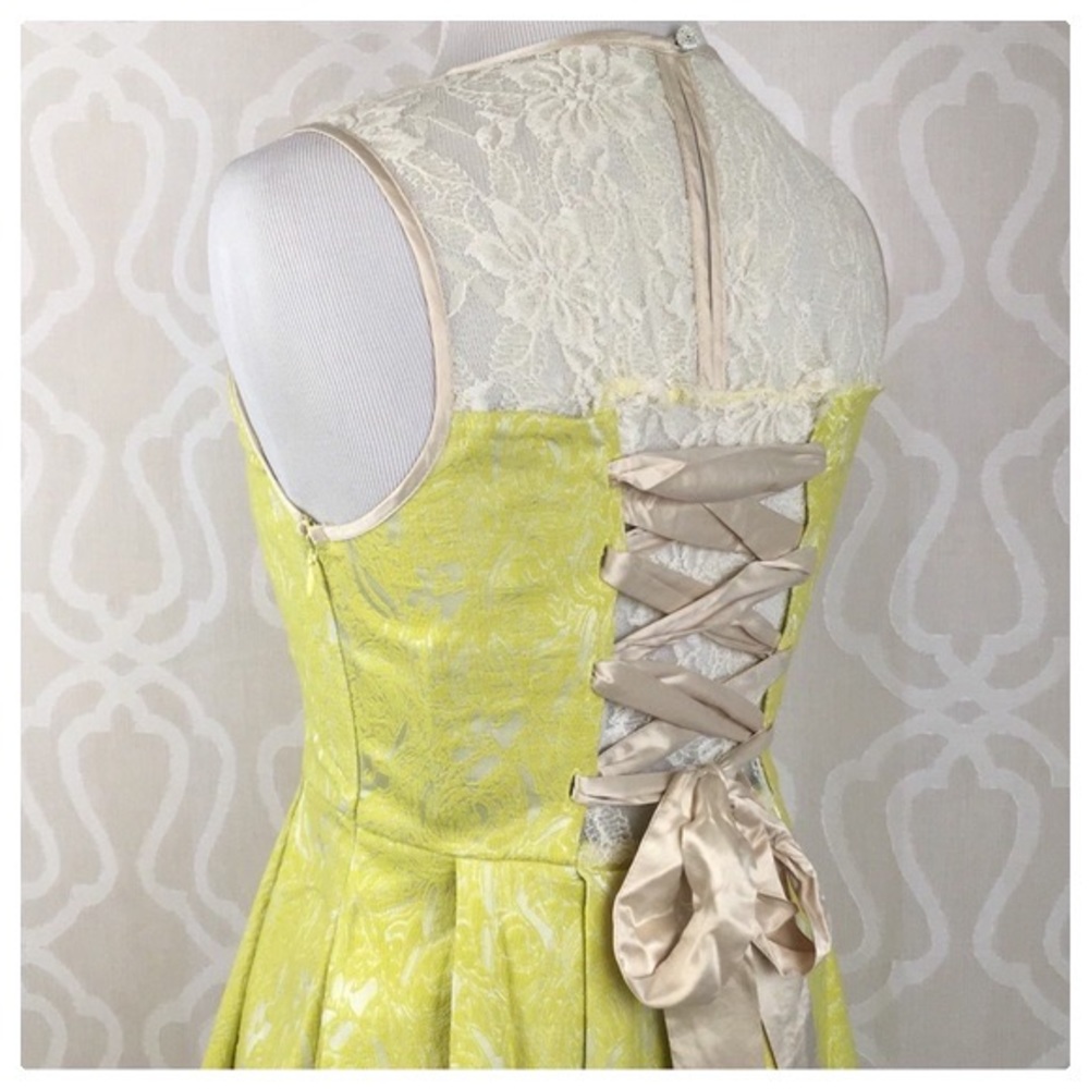 Ryu Lolita Lace & Jacquard Mini Dress - Picture 4 of 13